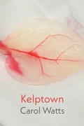 Cover: Kelptown - Shearsman Books