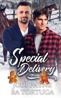 Cover: Special Delivery - Tygerseye Publishing, LLC