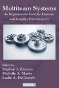Cover: Multiteam Systems - Routledge