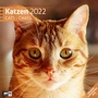 Bild: Katzen Kalender 2022 - 30x30 - Ackermann Kunstverlag
