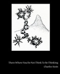 Cover: There Where You Do Not Think to Be Thinking - Spuyten Duyvil