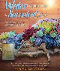 Abbildung von: Water Me Next Week, A Succulent's Plea - Chopstick and Succulents