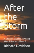 Cover: After the Storm - Radmar