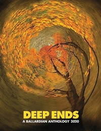 Enlarge image Cover: Deep Ends - Terminal Press