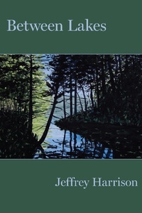 Enlarge image Cover: Between Lakes - Four Way Books