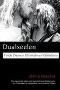 Cover: Dualseelen - Twin Flames Universe