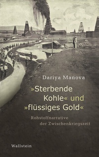 Abbildung von: »Sterbende Kohle« und »flüssiges Gold« - Wallstein