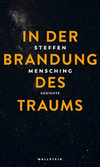 Abbildung von: In der Brandung des Traums - Wallstein