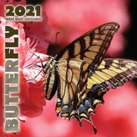 Abbildung von: Butterfly 2021 Mini Wall Calendar - Wall Publishing