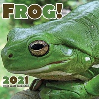 Abbildung von: Frog! 2021 Mini Wall Calendar - Wall Publishing
