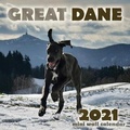 Bild: Great Dane 2021 Mini Wall Calendar - Over the Wall Dogs