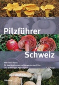 Cover: Pilzf&uuml;hrer Schweiz - Haupt Verlag