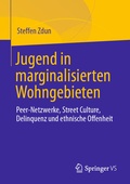 Cover: Jugend in marginalisierten Wohngebieten - Springer VS
