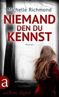 Cover: Niemand, den du kennst - Aufbau