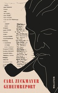 Cover: Geheimreport - Wallstein