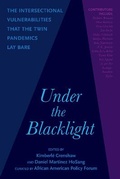 Cover: Under the Blacklight - Haymarket Books