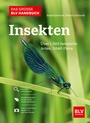 Cover: Das große BLV Handbuch Insekten - BLV