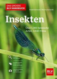 Abbildung von: Das große BLV Handbuch Insekten - BLV