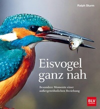 Abbildung von: Eisvogel ganz nah - BLV