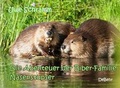 Cover: Die Abenteuer der Biber-Familie Nasenstupser - Verlag DeBehr
