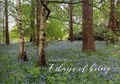 Cover: 7 Days of Being - Sampson Low Ltd