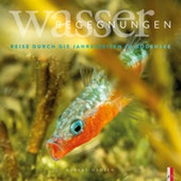 Abbildung von: Wasser Begegnungen - AS Verlag