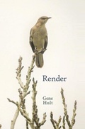 Cover: Render - Brighten Press