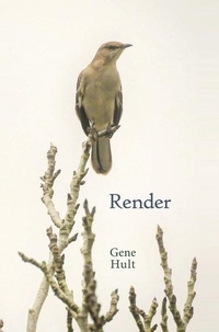 Enlarge image Cover: Render - Brighten Press