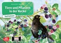 Cover: Tiere und Pflanzen in der Hecke. Kamishibai Bildkartenset - Don Bosco Medien