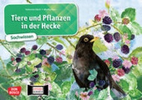 Abbildung von: Tiere und Pflanzen in der Hecke. Kamishibai Bildkartenset - Don Bosco Medien