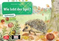 Cover: Wie lebt der Igel? Kamishibai Bildkartenset. - Don Bosco Medien