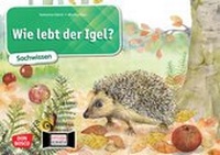 Abbildung von: Wie lebt der Igel? Kamishibai Bildkartenset. - Don Bosco Medien