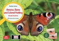 Cover: Ameise, Biene und Schmetterling. Unsere Insekten. Kamishibai Bildkarten und Memo-Spiel - Don Bosco Medien