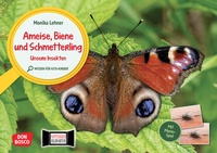Abbildung von: Ameise, Biene und Schmetterling. Unsere Insekten. Kamishibai Bildkarten und Memo-Spiel - Don Bosco Medien