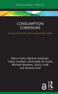 Enlarge image Cover: Consumption Corridors - Routledge