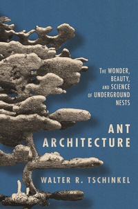 Abbildung von: Ant Architecture - Princeton University Press
