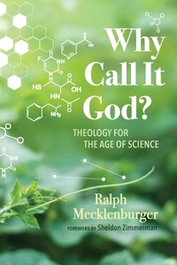 Enlarge image Cover: Why Call It God? - Wipf & Stock Publishers