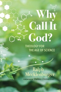 Enlarge image Cover: Why Call It God? - Wipf and Stock Publishers