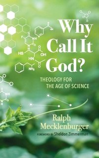 Enlarge image Cover: Why Call It God? - Wipf & Stock Publishers