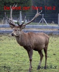 Cover: Die Welt der Tiere  Teil 2 - BookRix