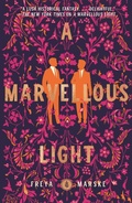 Cover: A Marvellous Light - Tor Books