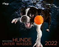 Abbildung von: Hunde unter Wasser 2022 - Riva