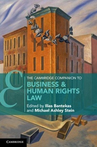 Enlarge image Cover: The Cambridge Companion to Business and Human Rights Law - Cambridge University Press