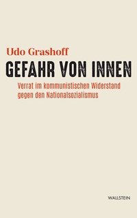 Abbildung von: Gefahr von innen - Wallstein