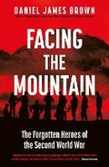 Cover: Facing The Mountain - Viking