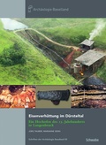 Cover: Eisenverh&uuml;ttung im D&uuml;rsteltal - Schwabe Verlagsgruppe AG Schwabe Verlag