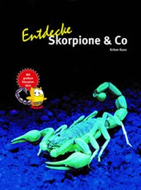 Abbildung von: Entdecke Skorpione & Co - Natur und Tier