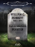 Cover: Schreckliche Schatten - Jojo Media Verlag