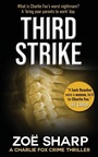 Cover: THIRD STRIKE - ZACE Ltd