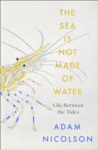 Abbildung von: Life Between the Tides - William Collins